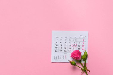 Takvim sayfasında uzanan tek bir gül çiçeği Şubat 2020, Valentin, sevgililer günü kartı konsepti, takvim, pembe arkaplan, düz alan, boş