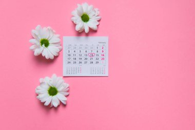 Pembe arka plan sevgililer günü konseptinde takvimi olan papatya çiçekleri