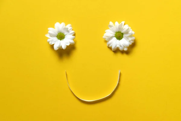 Smiley face made out of chamomile flowers and ribbon, spring blossom concept, happy — Stock Photo, Image