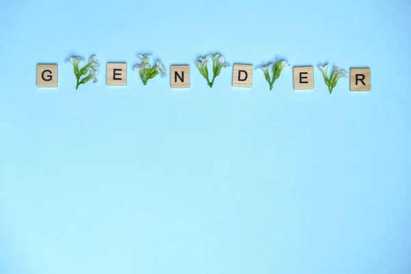 Wortgeschlecht durch Verwendung von Holzklötzen und Blumen auf buntem blauen Hintergrund dargestellt — Stockfoto