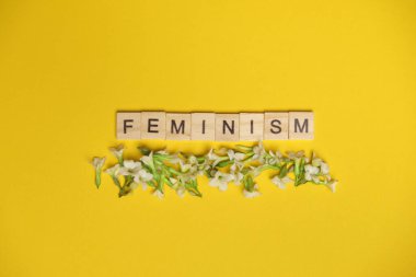 Cinsel taciz kavramında kullanılan tahta alfabedeki feminizm