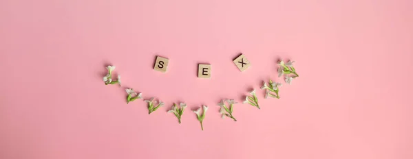 üç tahta blok - üzerinde SEX harfi, daha fazla metin resmi için boşluk.