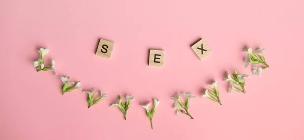 Drei Holzklötze Buchstaben Sex Darauf Platz Für Weitere Textbilder — Stockfoto