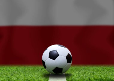 Polonya bayrağı ve futbol topu