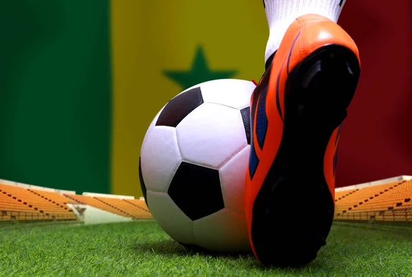 Futbol Oyuncusunun Bacakları Ayakları Kapalı Yeşil Çimlerde Yürüyor Senegal Bayrak — Stok fotoğraf