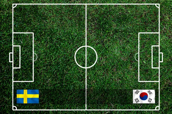 Competizione Coppa Calcio Tra Corea Del Sud Nazionale Svezia Nazionale — Foto Stock