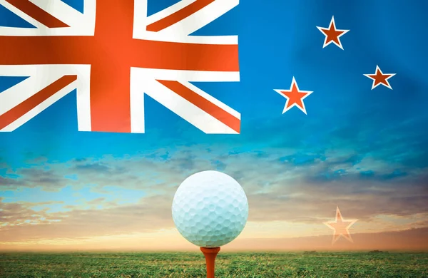 Golf Labda Zéland Vintage Szín — Stock Fotó
