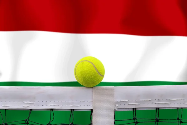Tennis Ball Net Flag Background — Stock Photo, Image