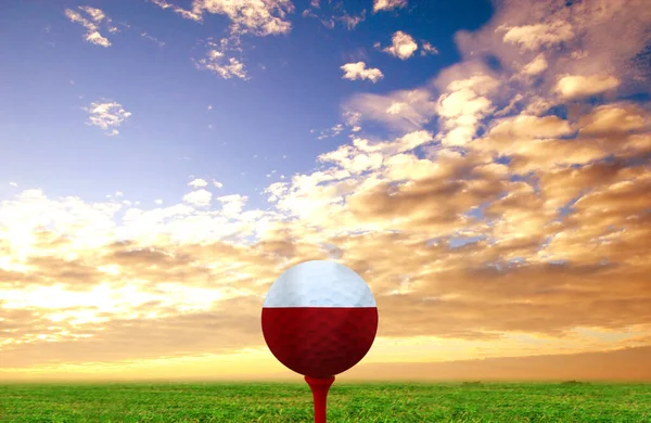 Golf Ball Poland Vintage Color — Stock Photo, Image