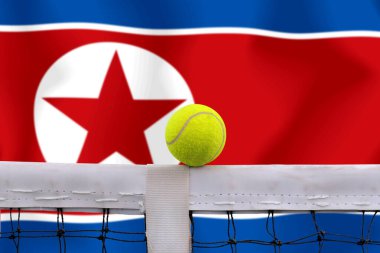 Bayrak arkaplan üzerinde net tenis topu.