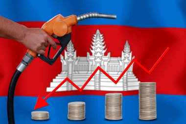 bayraklar üzerinde Dünya petrol fiyatları grafiği