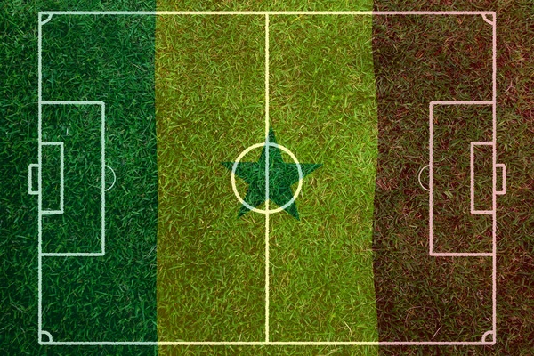 Senegal Bayrağı Futbol Topu — Stok fotoğraf