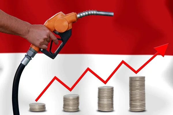 concept  World oil price Chart on  flag background