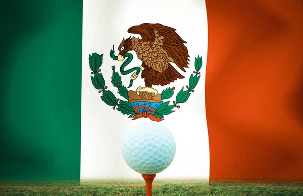 Golf Boll Mexiko Vintage Färg — Stockfoto