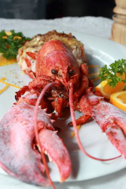 Peynirli fırında ıstakoz, tasarım için macro kapanışı.