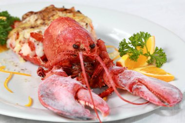 Peynirli fırında ıstakoz, tasarım için macro kapanışı.