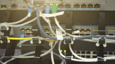 Hızlı / Giga ethernet portlarına bağlı UTP Ağ kabloları olan teknoloji merkezi ağ sunucu odası. İnternet servis sağlayıcısı ekipmanı. UTP kablolarına odaklan. Veri Ağı Donanım Konsepti.