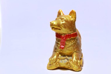 Köpek 'in Çin' deki yeni yılı. Altın Paralı Altın Köpek beyaz arka planda. Yeni yıl için iyi şans sembolü. 