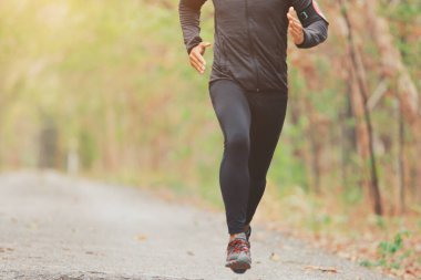 Spor koşucusu yaz sonunda ya da sonbaharda güneş ışığı yolu olan ormanda koşuya hazırlanıyor..