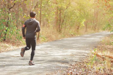 Spor koşucusu yaz sonunda ya da sonbaharda güneş ışığı yolu olan ormanda koşuya hazırlanıyor..