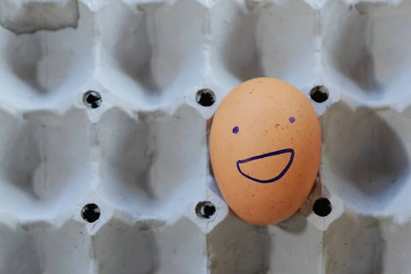Emotie Van Verse Eieren Een Rietje — Stockfoto