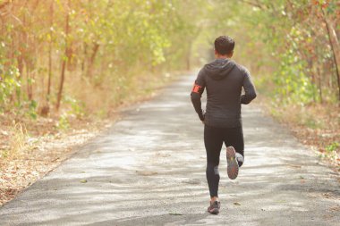 Spor koşucusu yaz sonunda ya da sonbaharda güneş ışığı yolu olan ormanda koşuya hazırlanıyor..