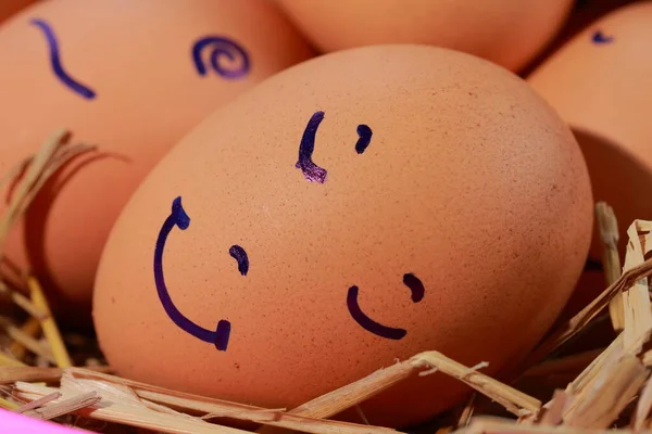 Emoción Los Huevos Frescos Sobre Paja — Foto de Stock