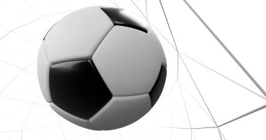 Ağdaki futbol topu, beyaz arka plan 33D renkte..