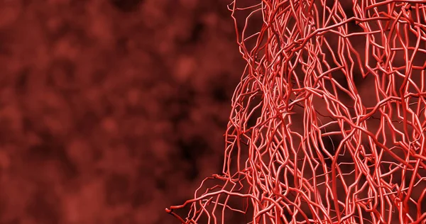 体内のさまざまな部位への血液の輸送のための循環系に大きな血管から多くの小さな毛細血管が分岐します 出血性脳卒中 3Dレンダリング ストックフォト