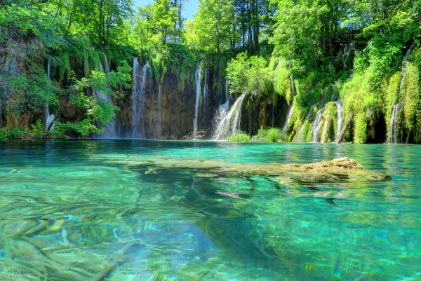 Waterfall, Pond, and Submerged Log at Croatia's Plitvice Lakes N — Stock Photo, Image