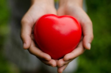 Kavram: Gönlünü ver, seni seviyorum.