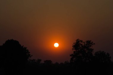 Tayland 'da güzel bir gün batımı, gökyüzü ve ağaç tepeleri manzarası 
