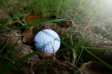 Beyaz golf topu, yaklaş.