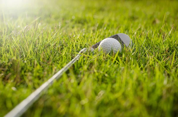 Golf Club Pallina Golf Vicino — Foto Stock