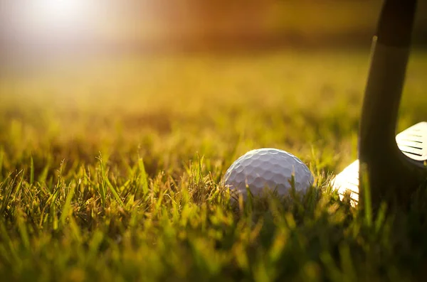 Golf Club Pallina Golf Vicino — Foto Stock