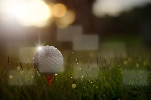 Mokrý Bílý Golfový Míček Zblizka — Stock fotografie