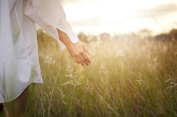 Bella Sposa Abito Sposa — Foto Stock