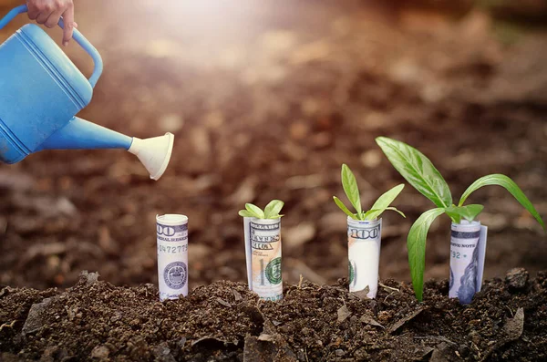 Konseptler: Şirketin verimliliğini artırmak için dolar ekme 