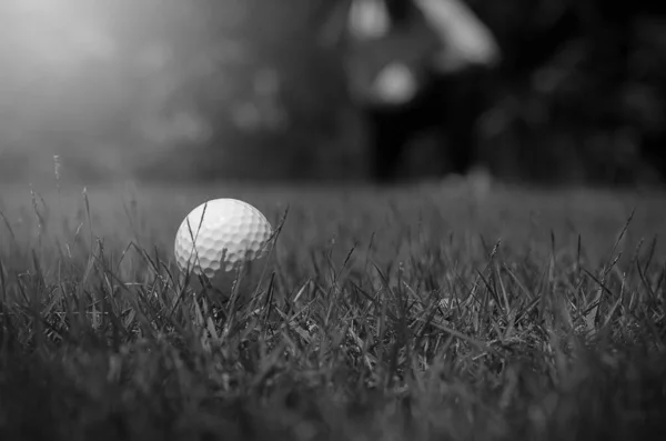 Witte Golfbal Close — Stockfoto