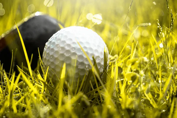 Golf Klub Golflabda Közelről — Stock Fotó