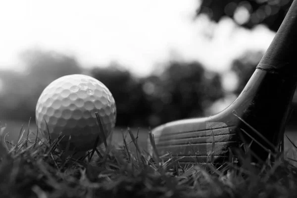 Golf Club Golf Ball Close — ストック写真