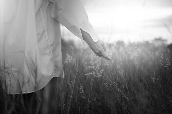 The young woman walking in a white shirt in the wheat field, black and white photo