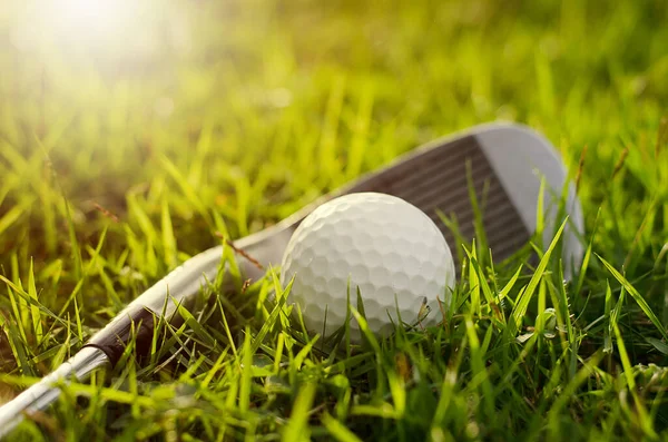 Golf Klub Golflabda Közelről — Stock Fotó