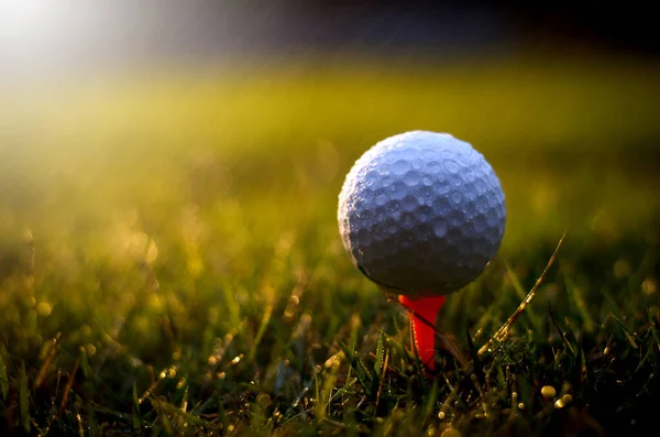 Witte Golfbal Close — Stockfoto