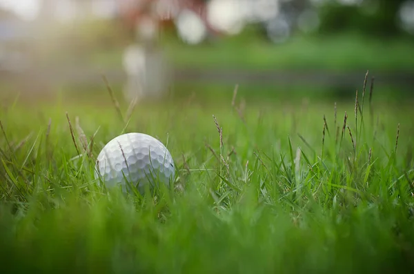 Fehér Golf Labda Közelről — Stock Fotó