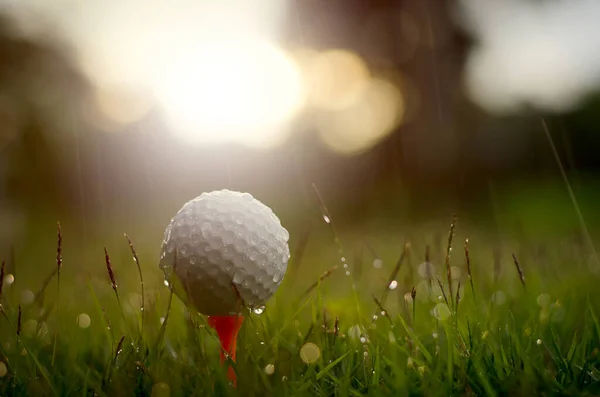 Nasser Weißer Golfball Nahaufnahme — Stockfoto