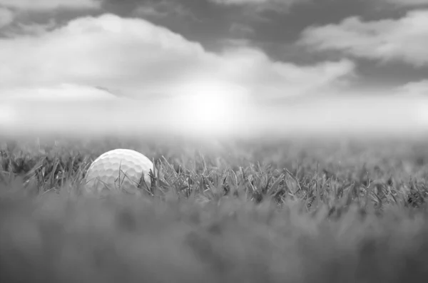 Weißer Golfball Nahaufnahme — Stockfoto