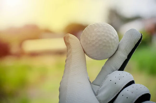 Golf Mano Golfista Con Pelota Deporte —  Fotos de Stock