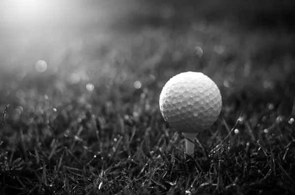 Weißer Golfball Nahaufnahme — Stockfoto