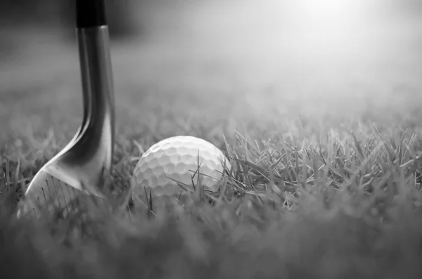 Golfschläger Und Golfball Aus Nächster Nähe — Stockfoto